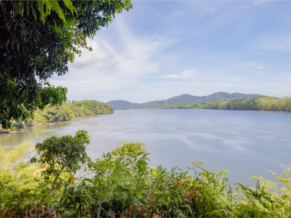 247 Acres of Riverfront Rainforest with Hospitality Potential - Sarangundí Eco-Development Sanctuary Near Corcovado