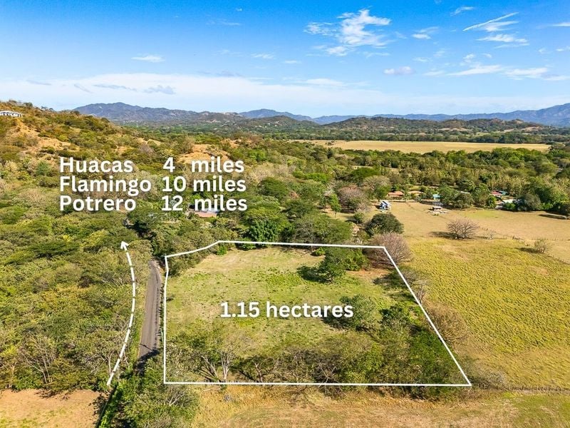 Portegolpe Lot | 2.84 Acres Property With Paved Road Frontage