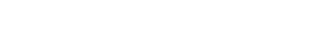 Light Logo