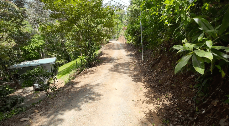 Multi-Home Income Estate Near Marino Ballena National Park