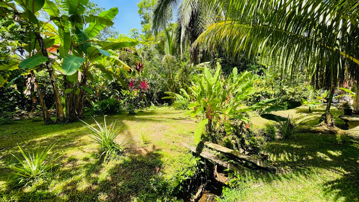 Tropical River Property with Cabinas, Pool & Event Space in Ojochal