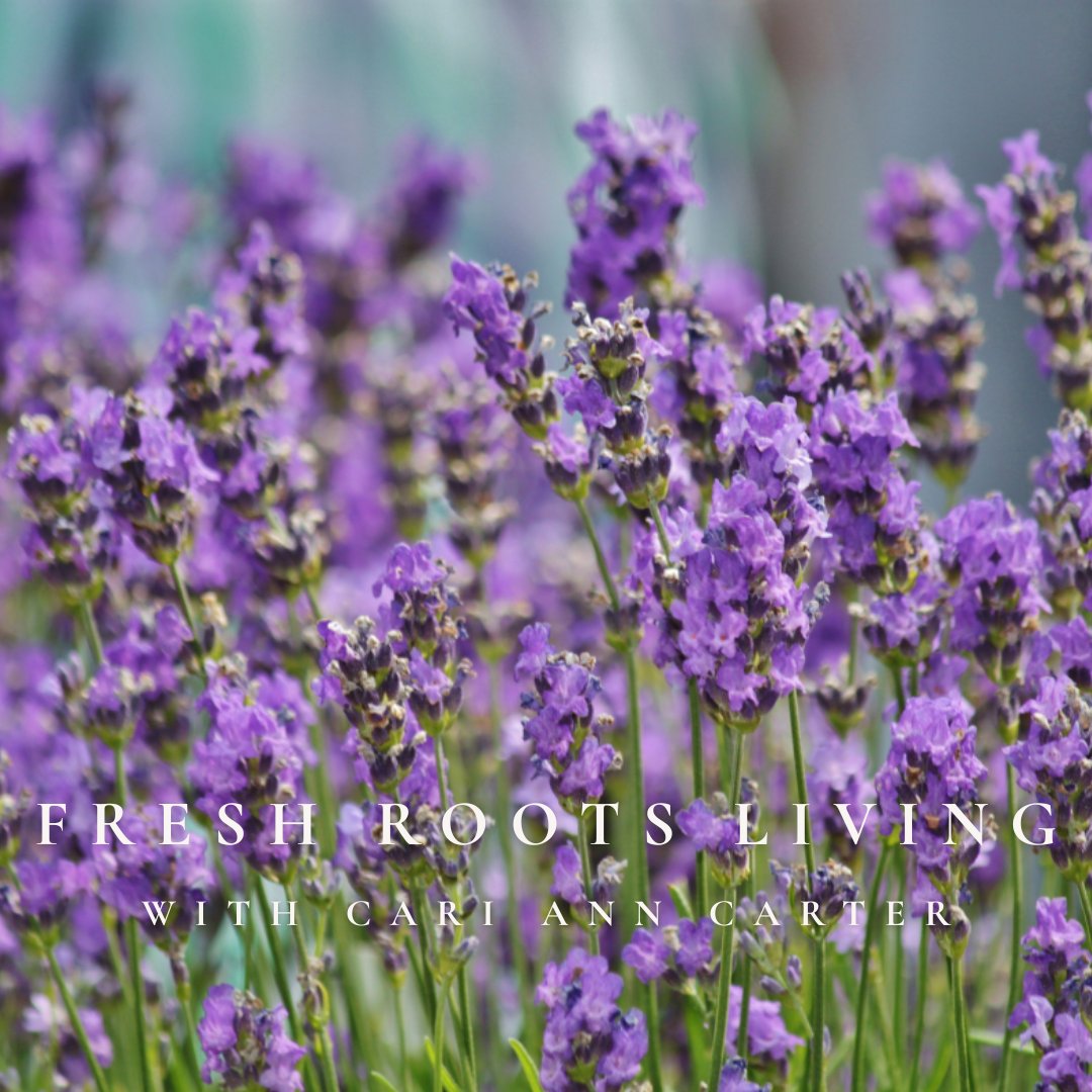 Three Plants For Your Garden