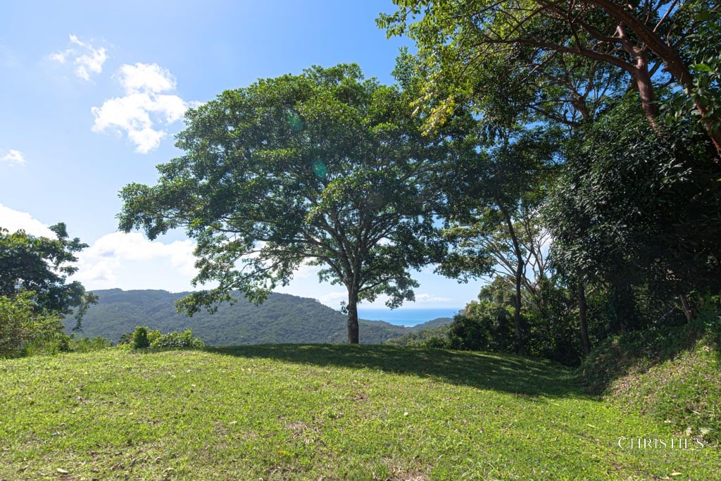 A Rare Thermal-Wellness Development Opportunity - Cacao Estates
