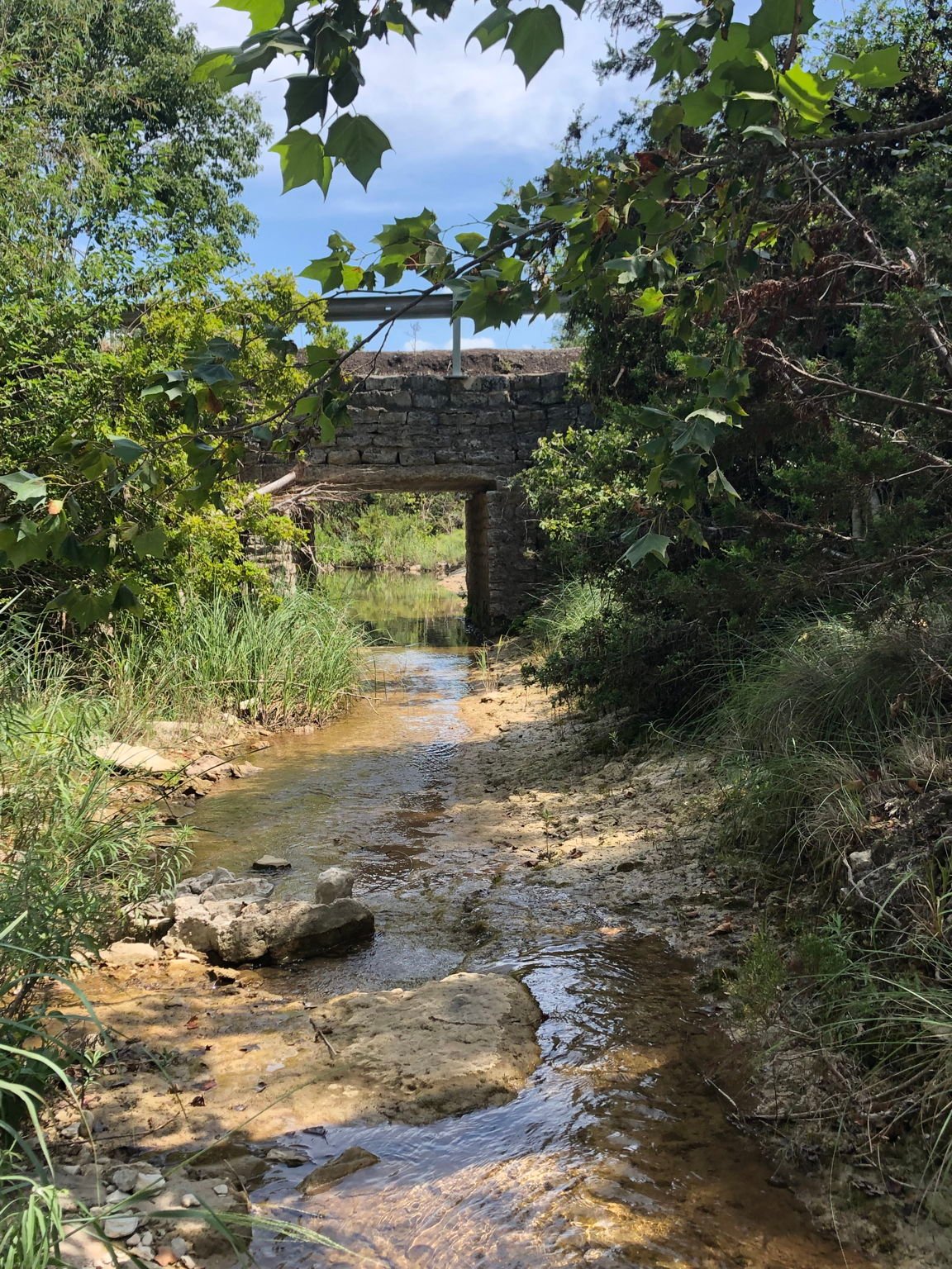 100 Dario Dr. Dripping Springs  Tx 78620