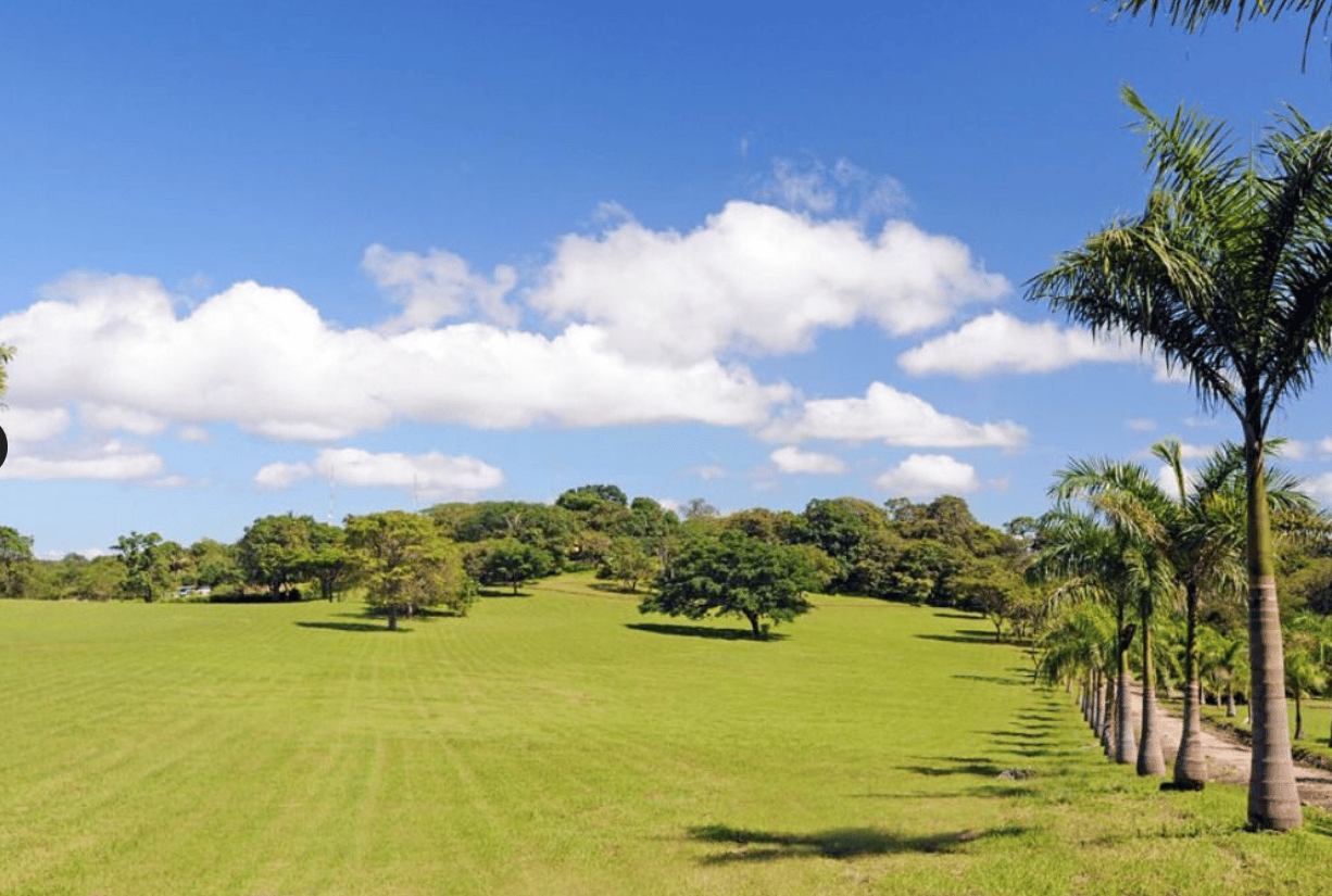 Lot for sale in Altos de los Robles | 1000 m2 ocean view lot for sale in Altos de los Robles community near Liberia International Airport