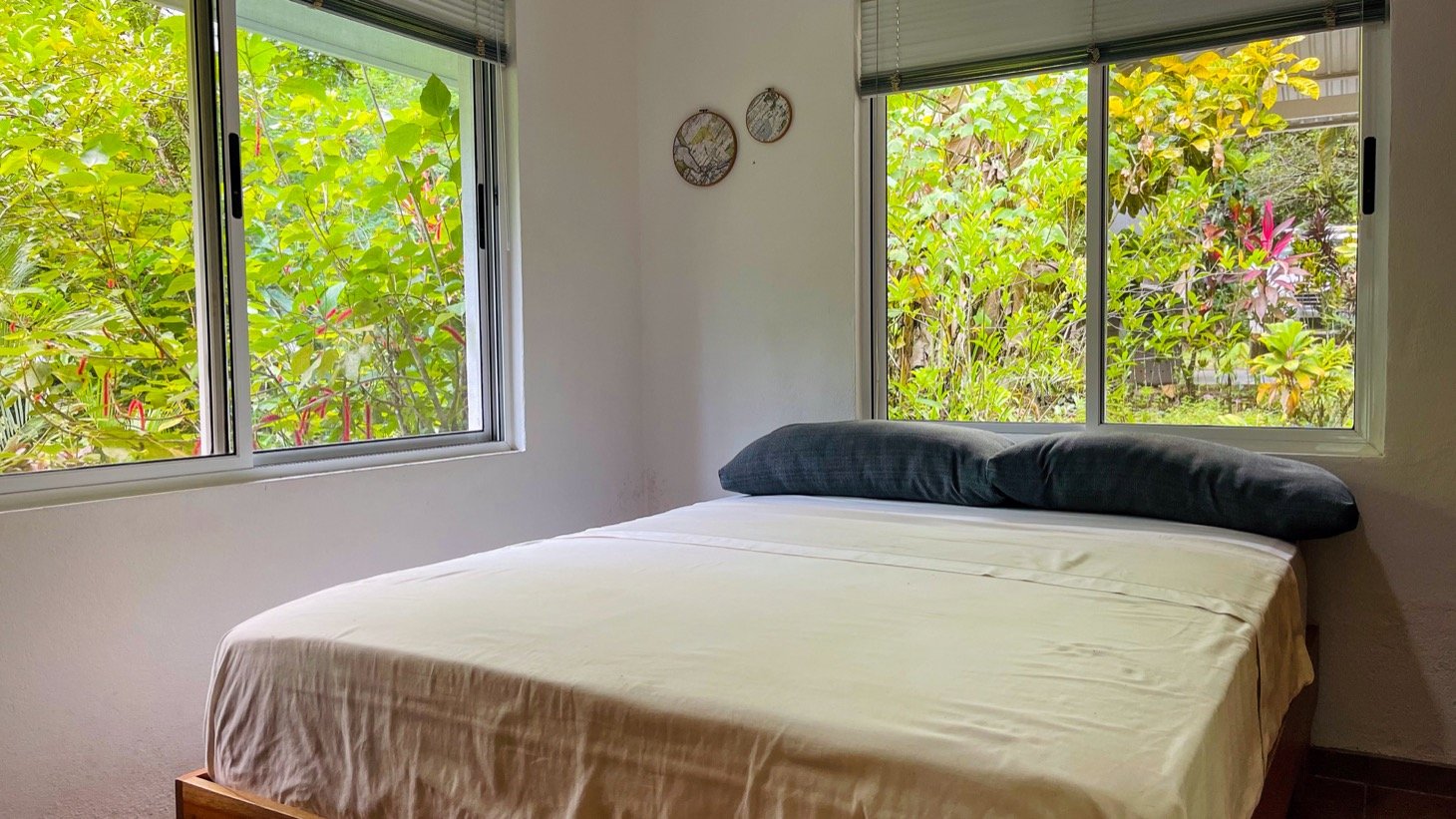 Modern House For Sale With Jungle View, Peaceful Stream, and Rental Cabins