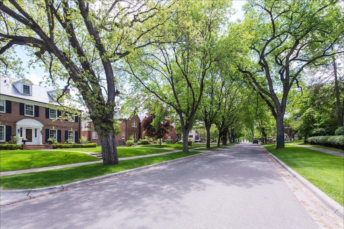 Alt Text: Tree-lined luxury neighborhood street in Edina and Minneapolis