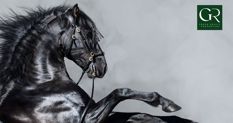 Best Real Estate Agent in Davie, Florida | Patty Da Silva, Broker of Green Realty Properties