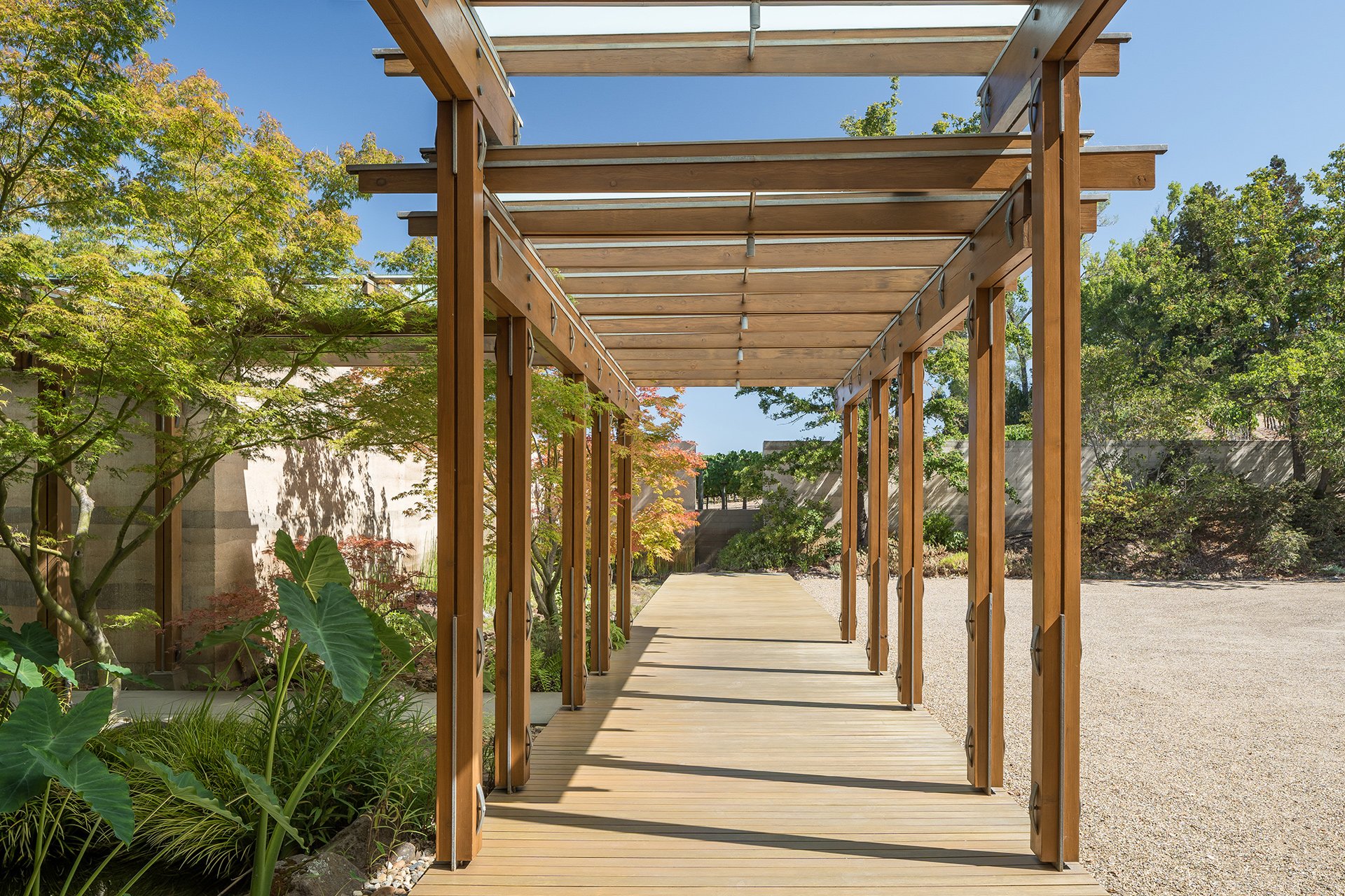 Meteor Vineyard Estate, Napa Valley