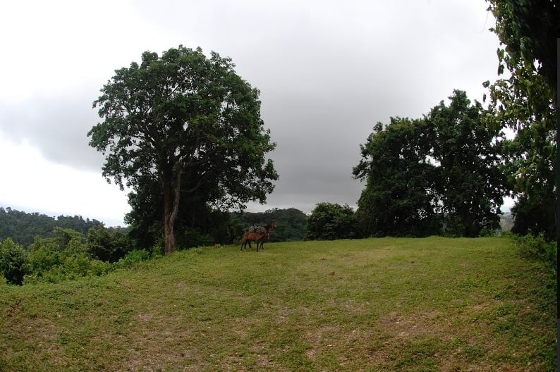 Large Development Parcel, Santa Teresa, Puntarenas