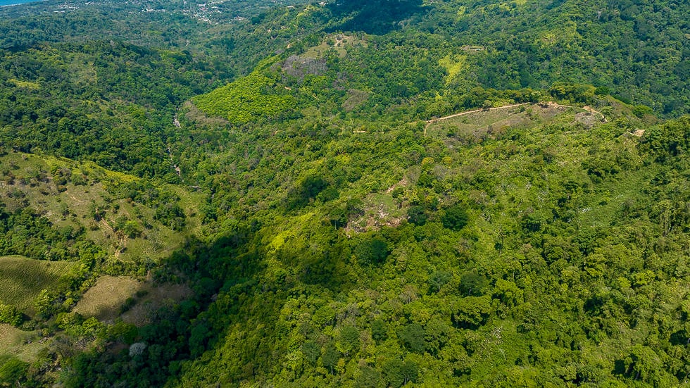 Whale Tail Views Luxury Waterfall Farm