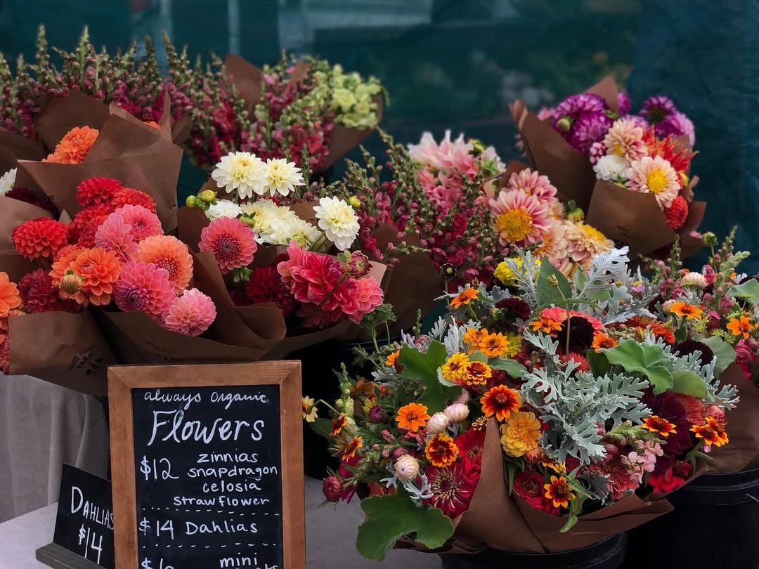 Why People Love Living in Penngrove, CA: Small-Town Charm in the Heart of Sonoma County