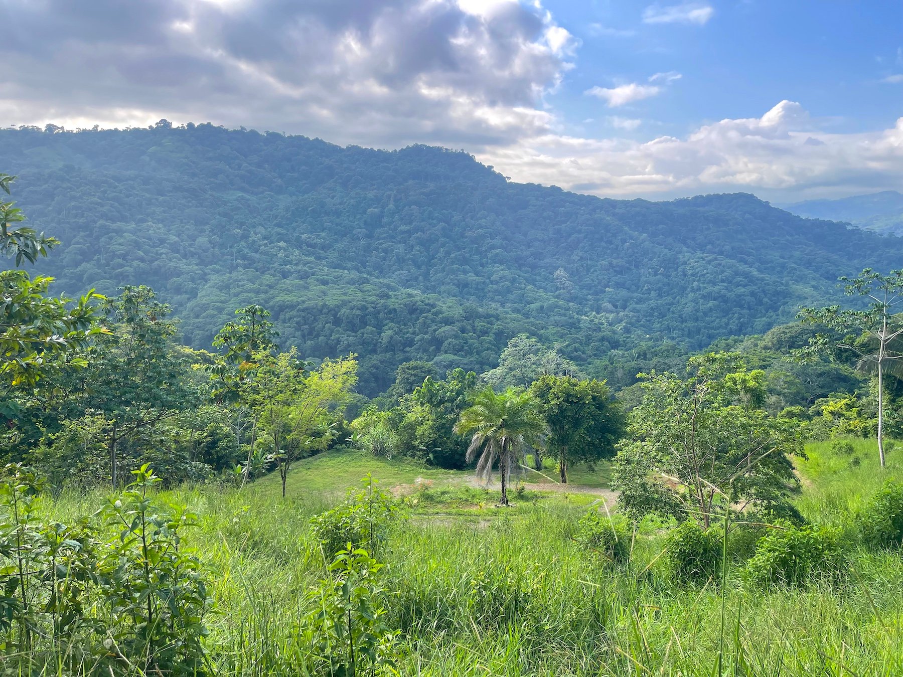 30-ACRES OF LAND WITH RIVER ACCESS, ROADS, AND BUILDING PADS IN LAGUNAS
