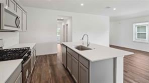 24852 King Palm Trce