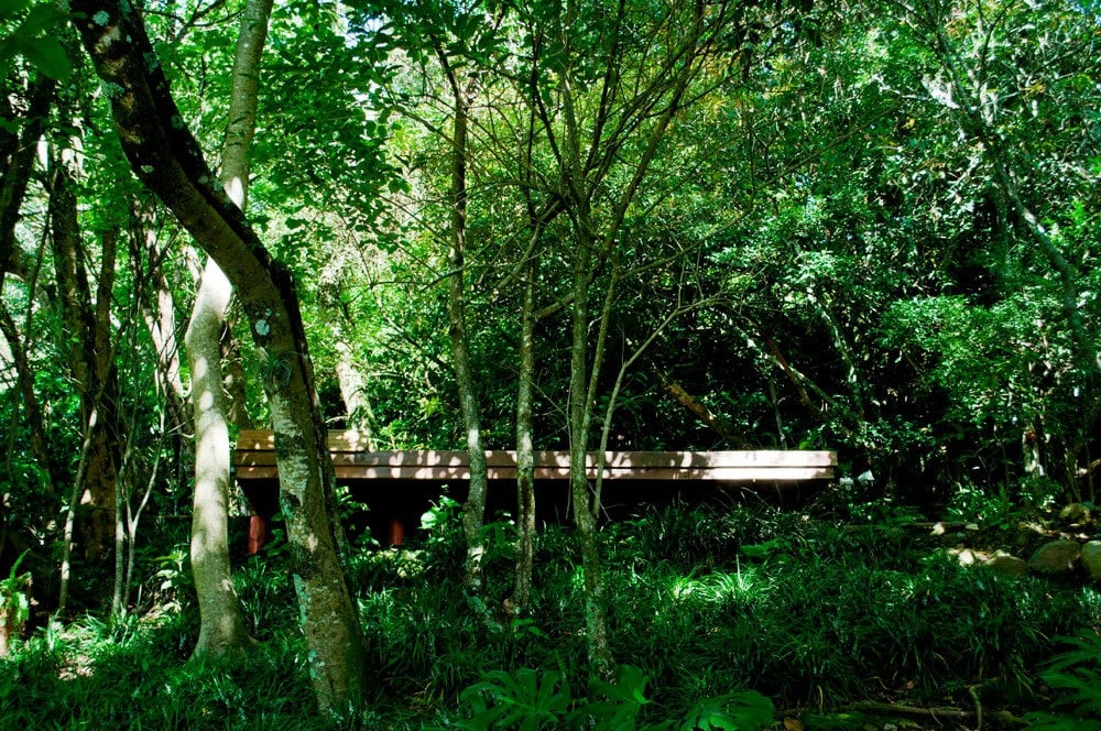 Spacious Property in San Antonio