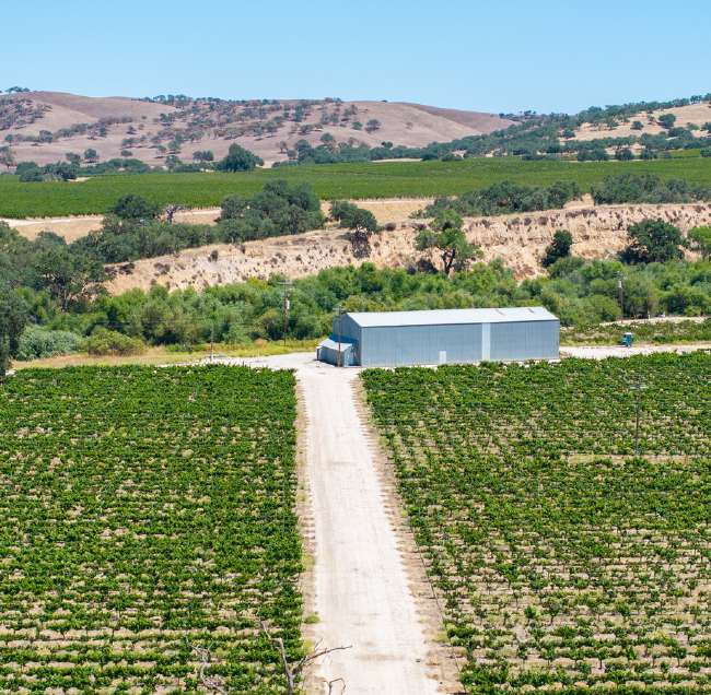 Joseph Vineyard | 76987 Nacimiento Lake Drive