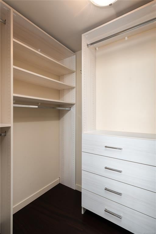 1406 - 707 Courtney St