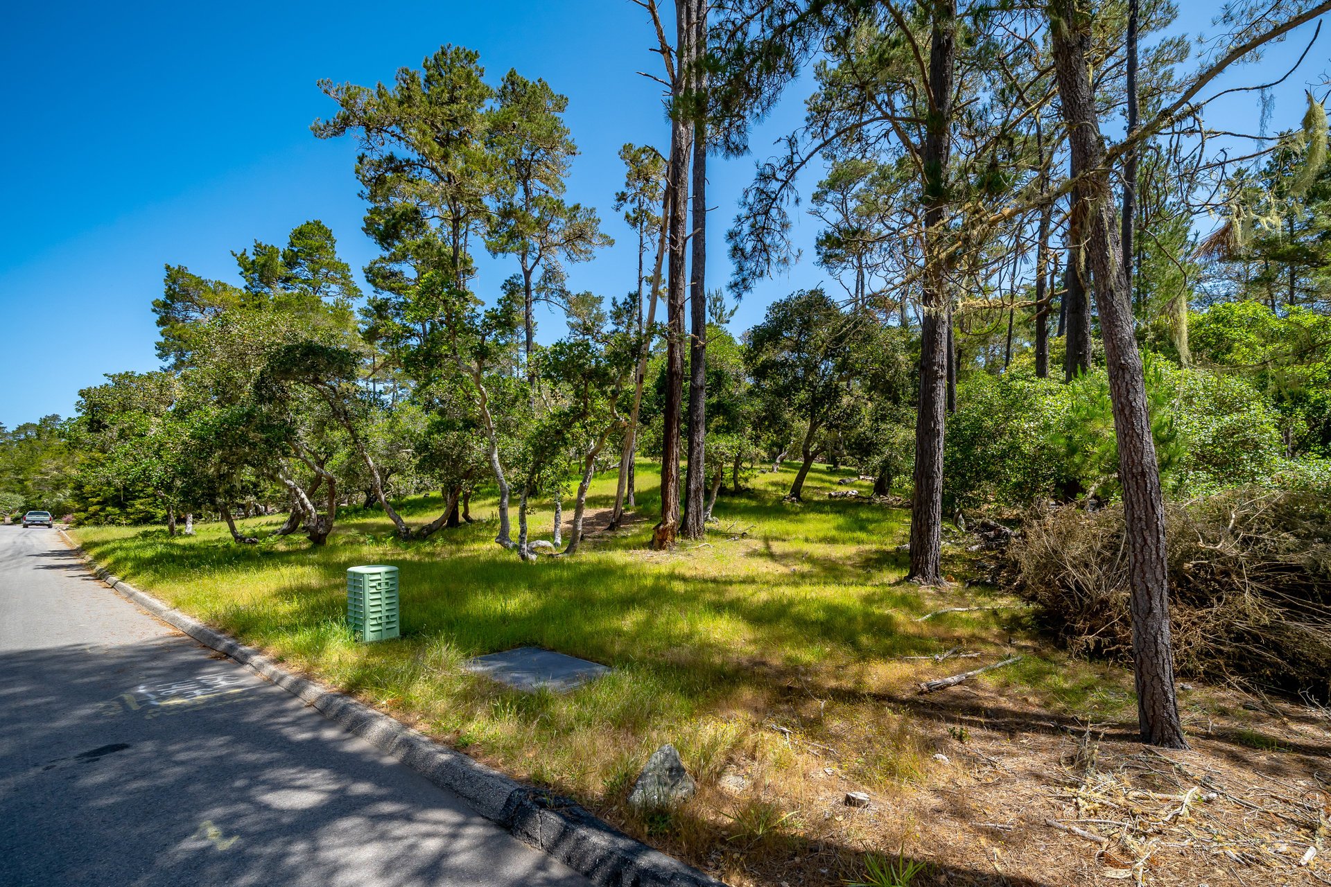 Serene Cambria Lot