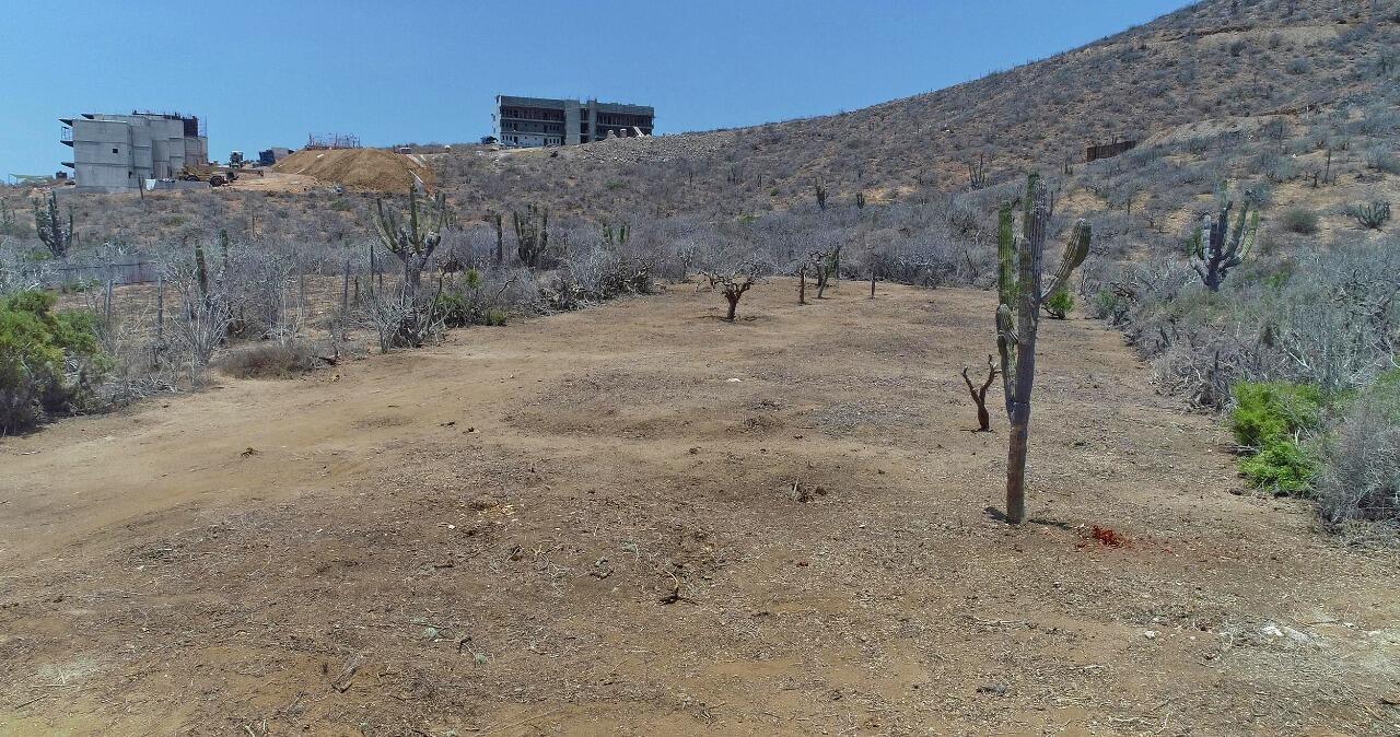 Heart of Cerritos Lot