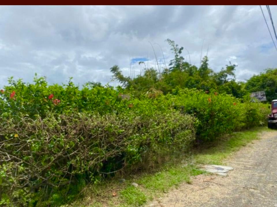 Prime Manuel Antonio OceanView Land