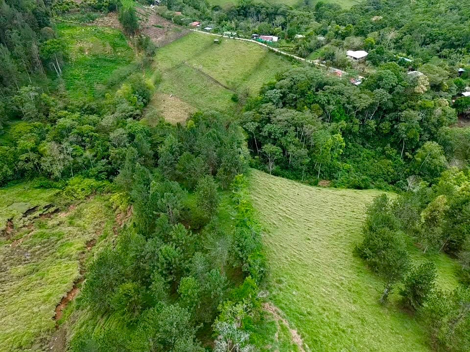 54 Acre Ranch in San Vito, Coto Brus