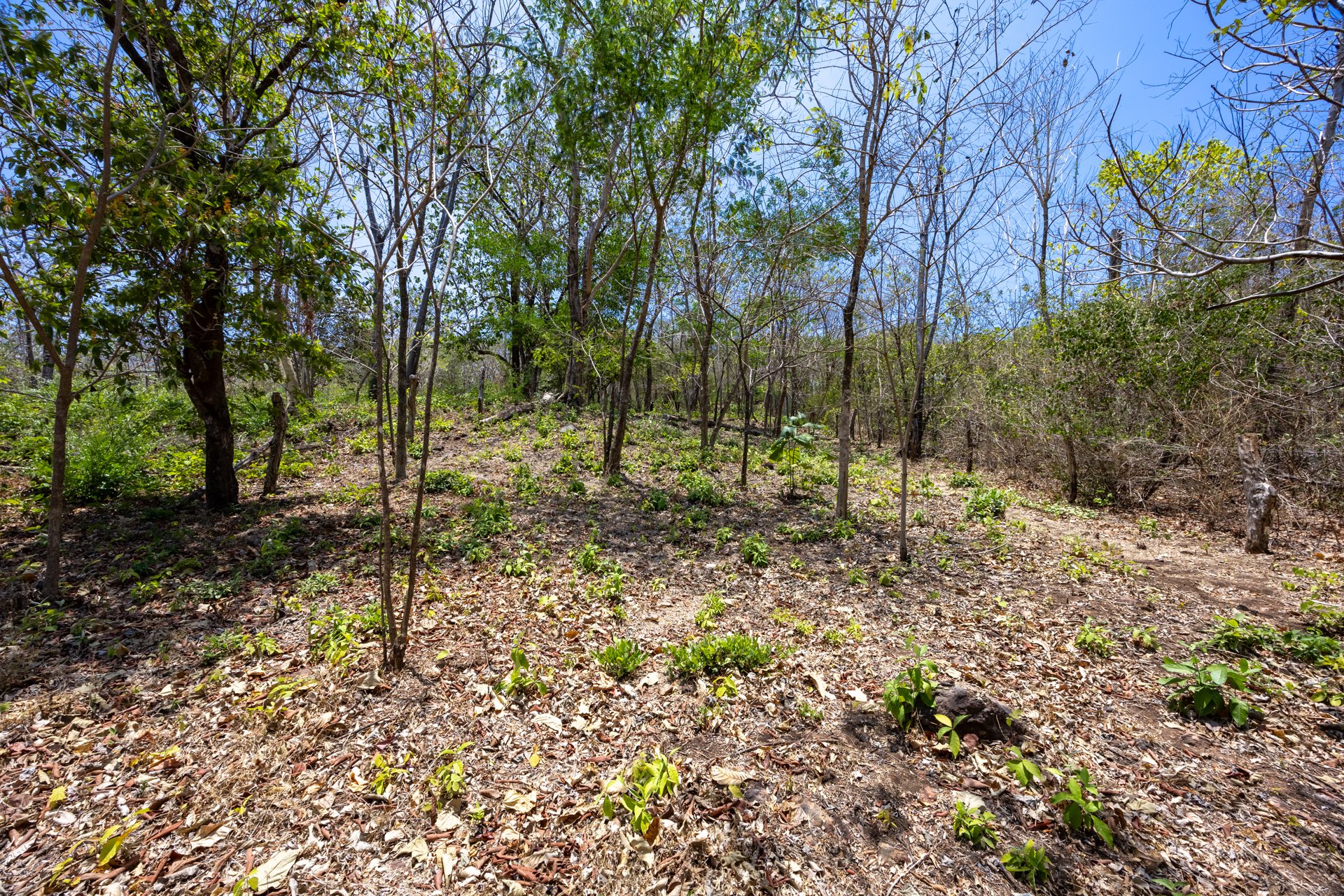 Playa Grande Lot #3 | 1,450 m² Lot Near the Beach in Playa Grande