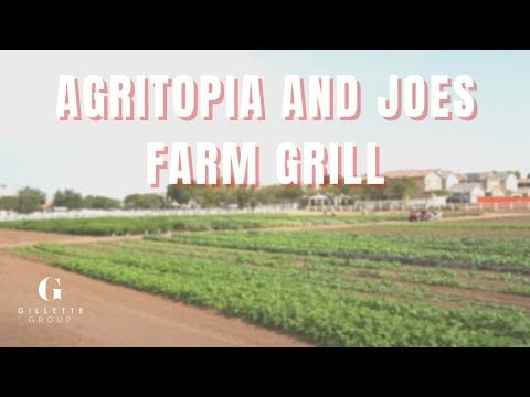 Agritopia and Joes Farm Grill