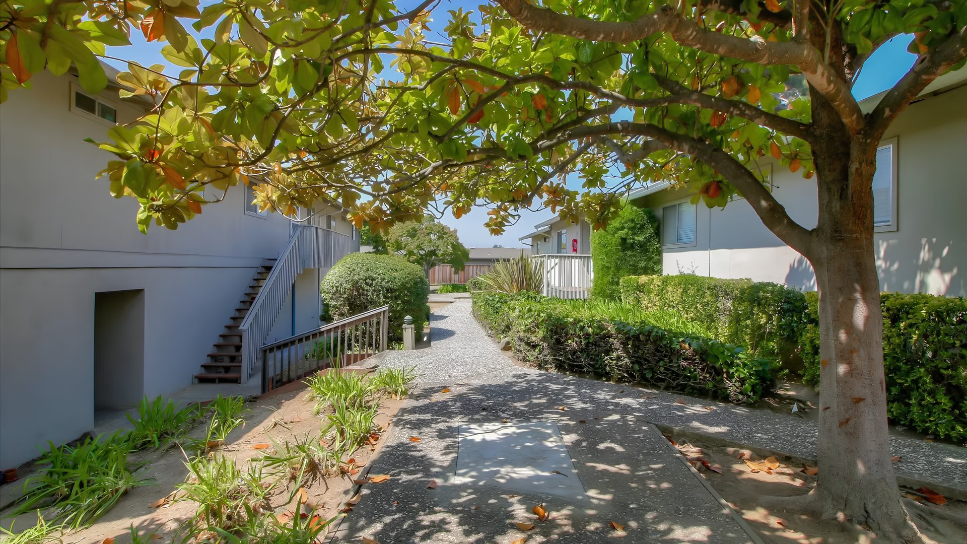 2643/2655/2695 Mar Vista Drive