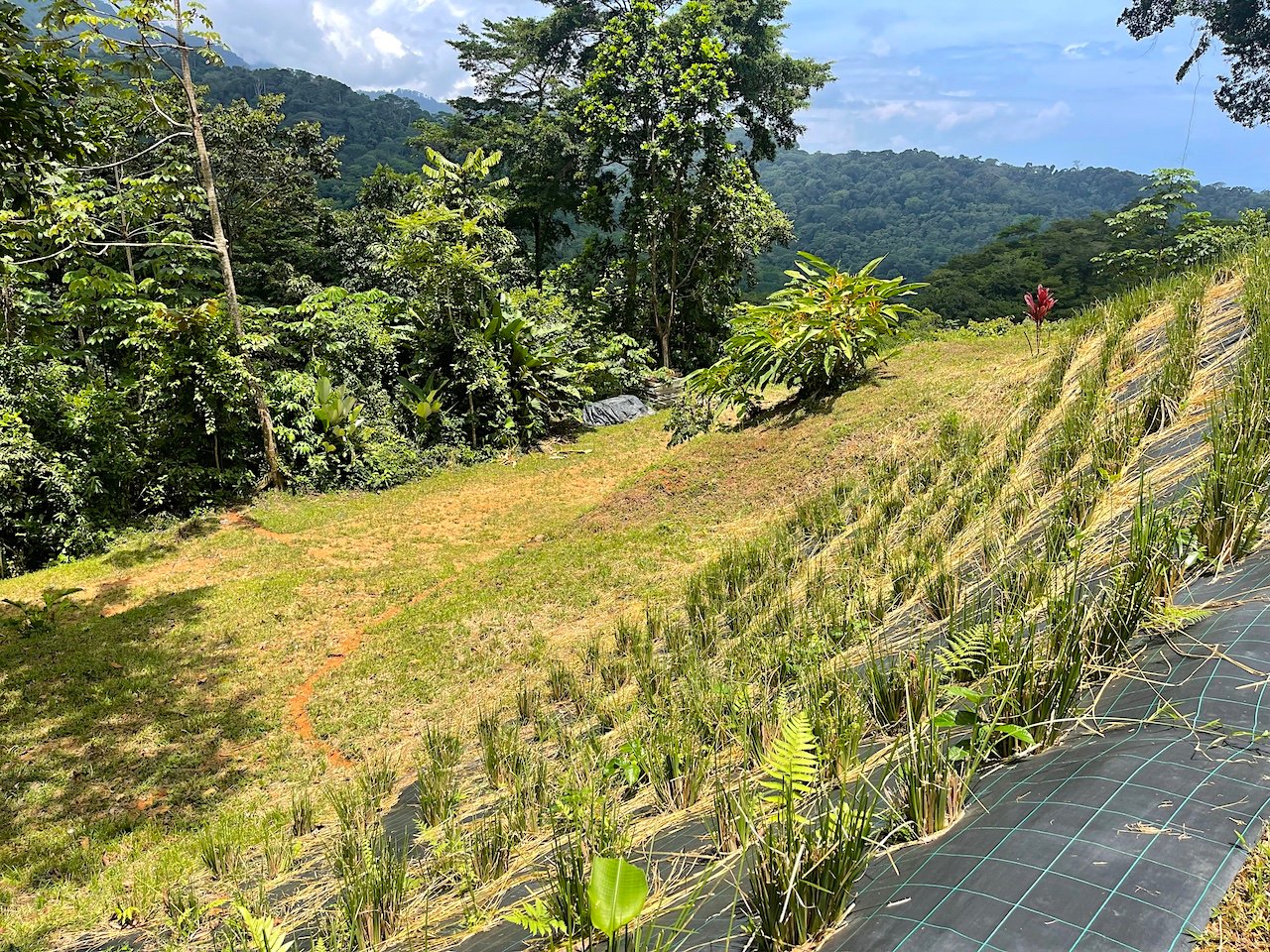 UVITA LAND WITH MULTIPLE BUILDING PADS – 25 ACRES