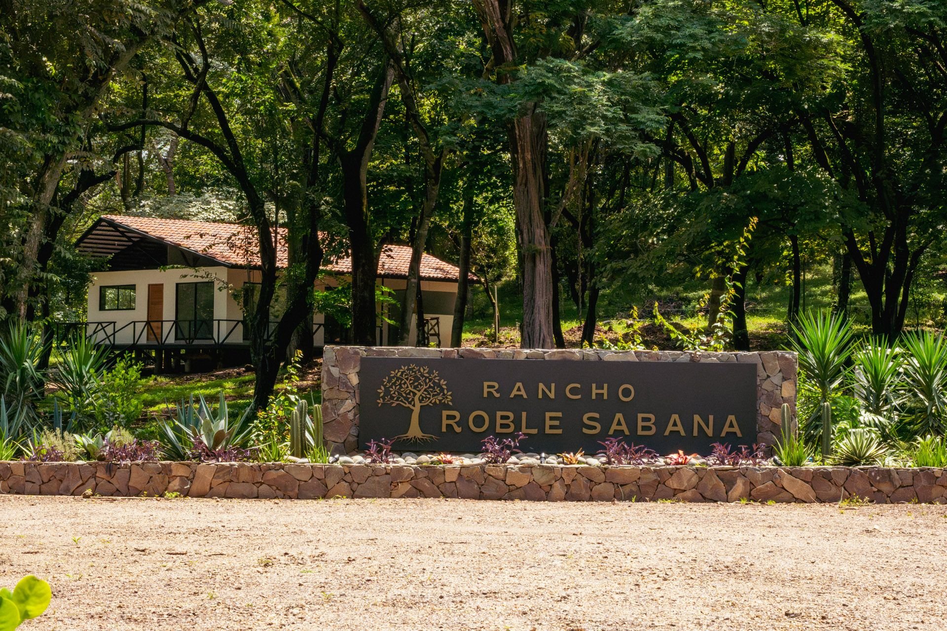 Roble Sabana, Linderos, Guanacaste