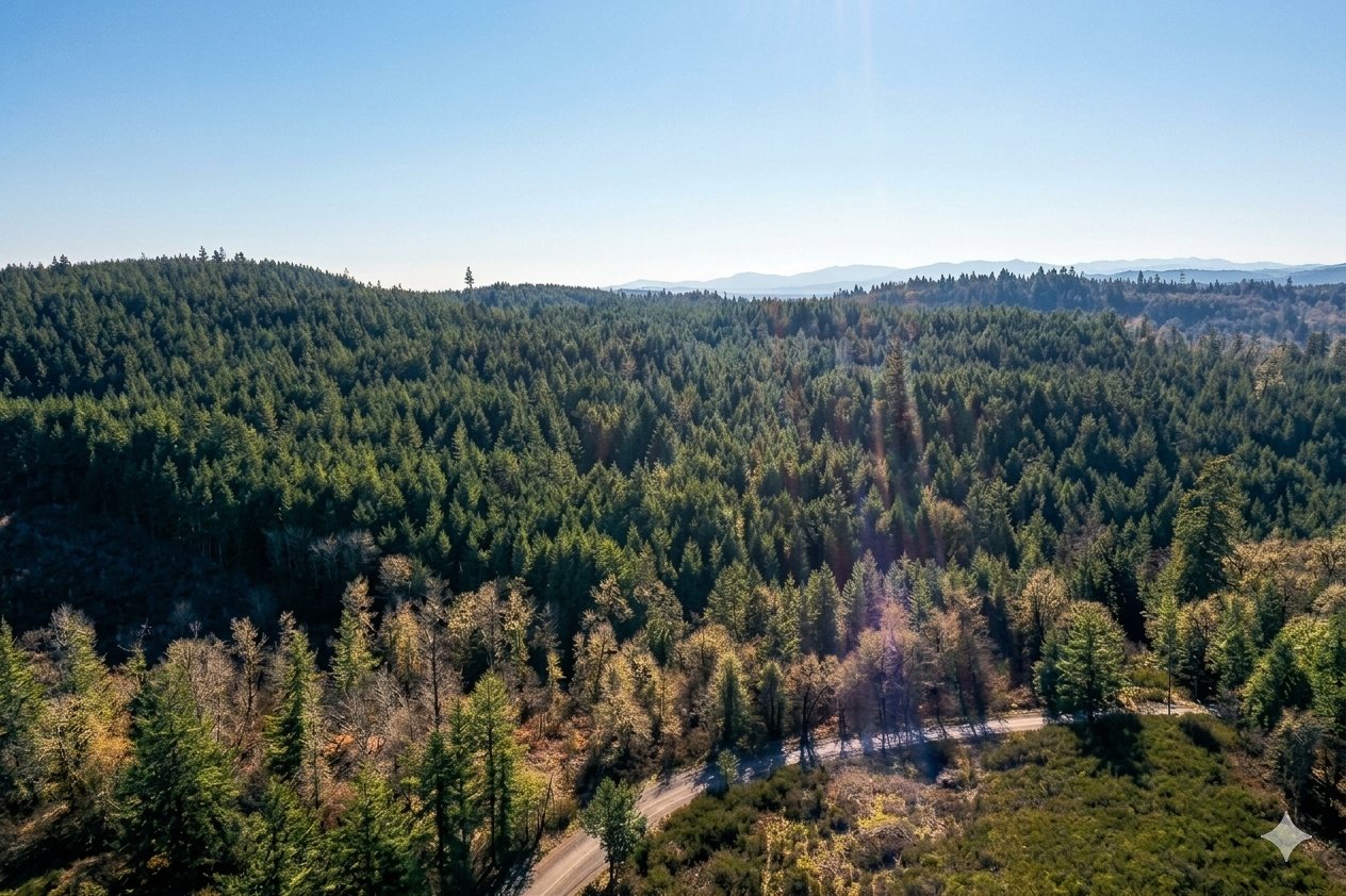 Liberty Forest Auction