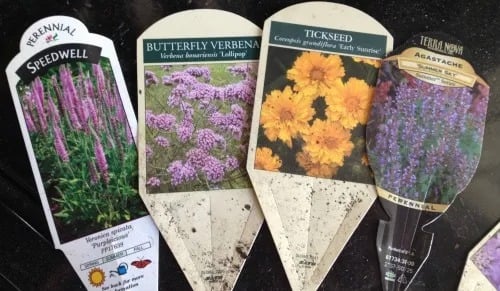 Garden Love!