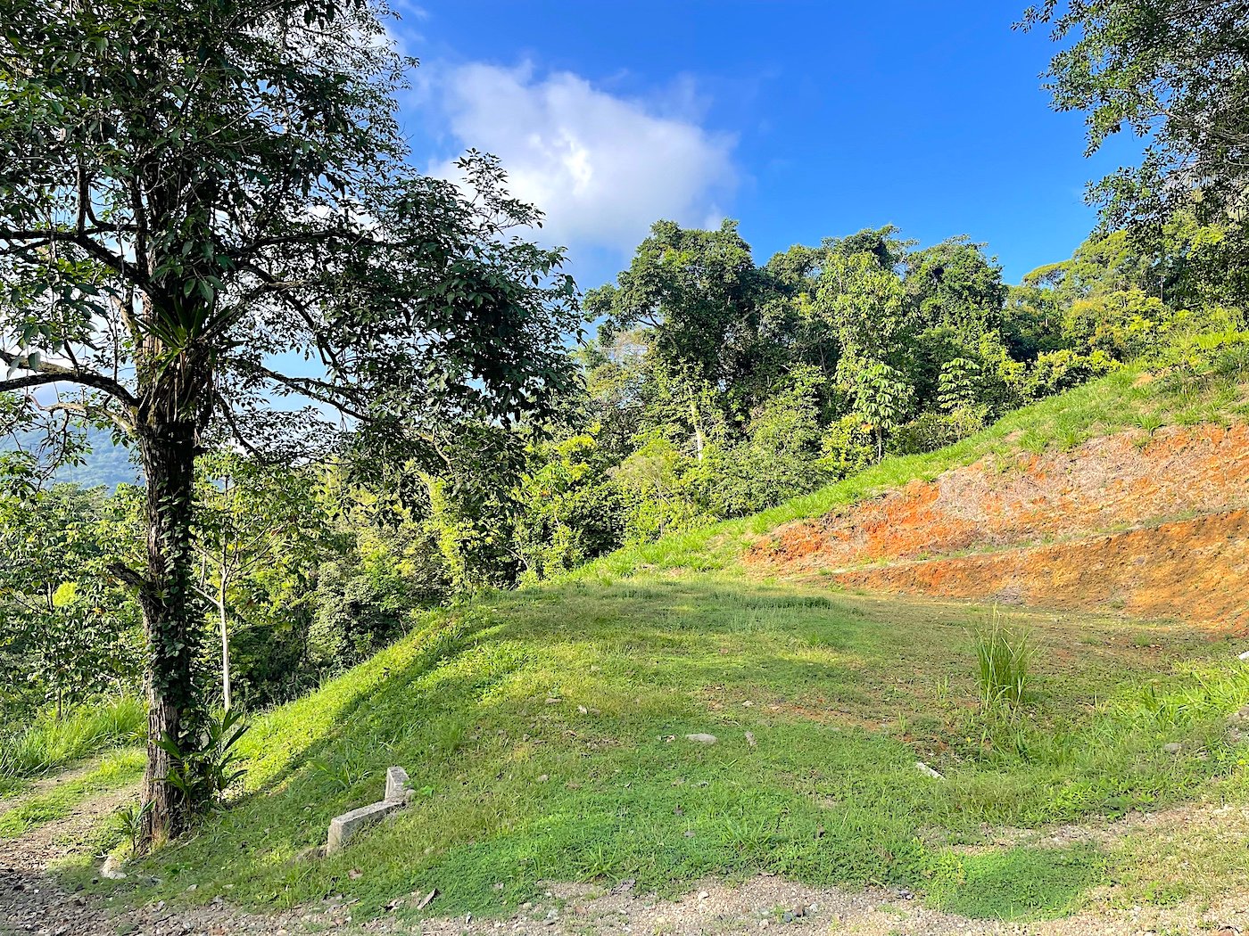 30-ACRES OF LAND WITH RIVER ACCESS, ROADS, AND BUILDING PADS IN LAGUNAS