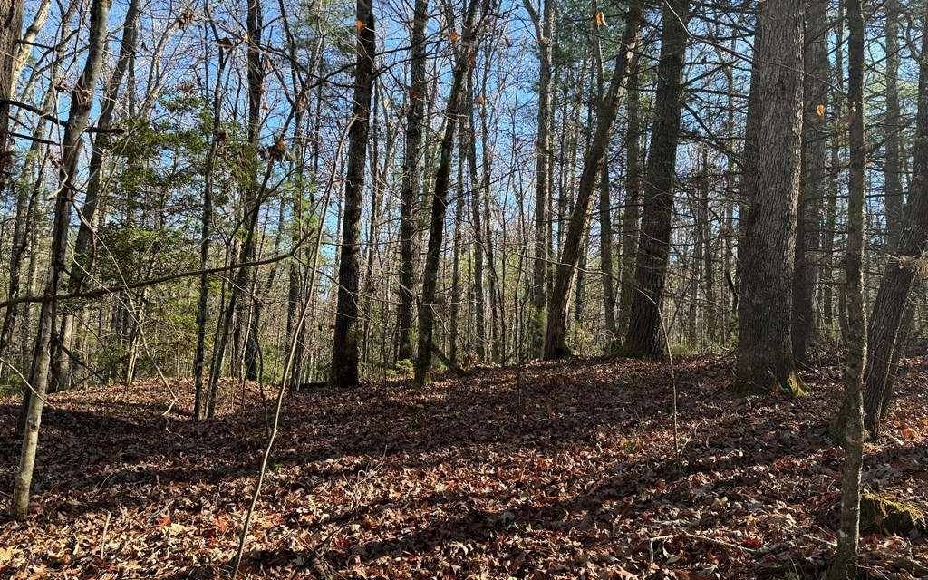 Blue Ridge