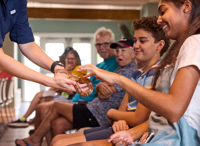 🌴 Venture Out 2026: A New Outdoor Festival Comes to Gulf Shores