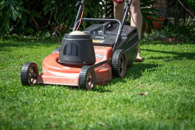 a-person-operating-a-lawn-mower-on-green-grass