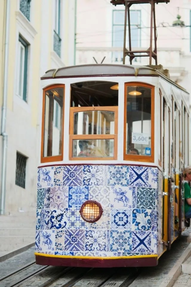 Blue + White Design Inspiration