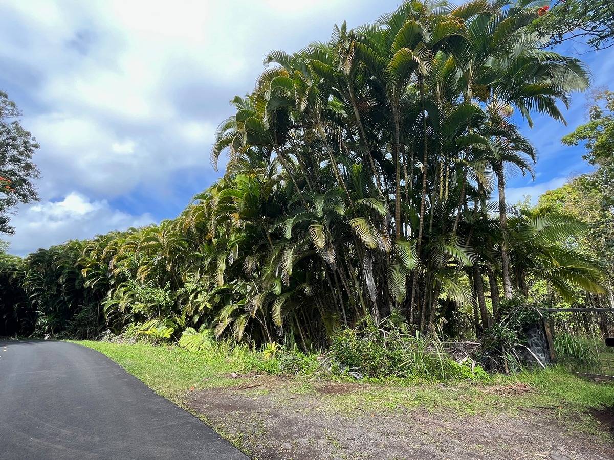 HAMAKUA COAST BIG ISLAND - OCEANFRONT 40 ACRES - WATERFALLS