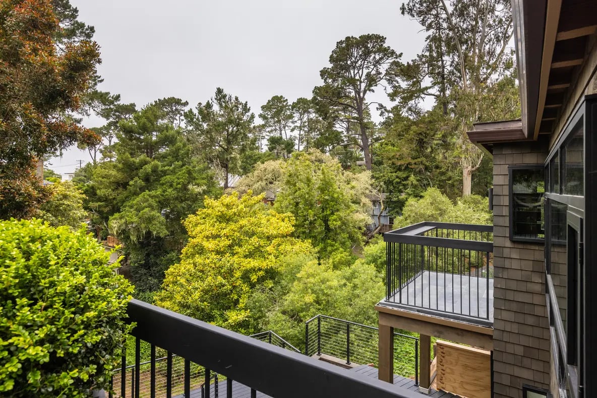 Treetops
