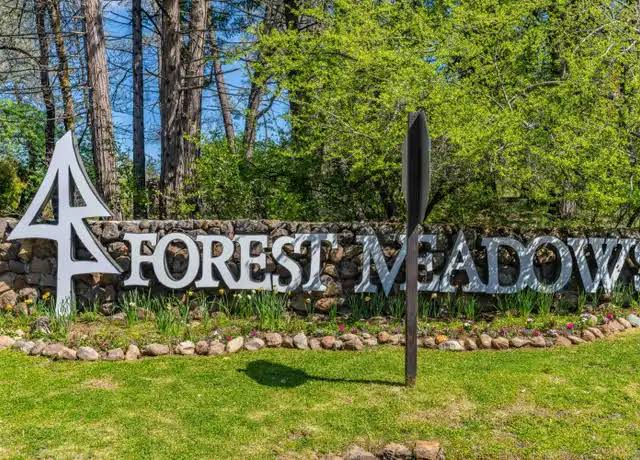 Forest Meadows