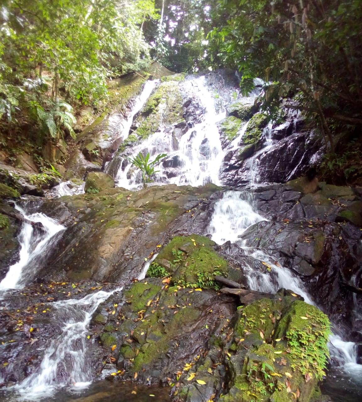 67 acres development (15 titled lots) with breathtaking views in Sierpe