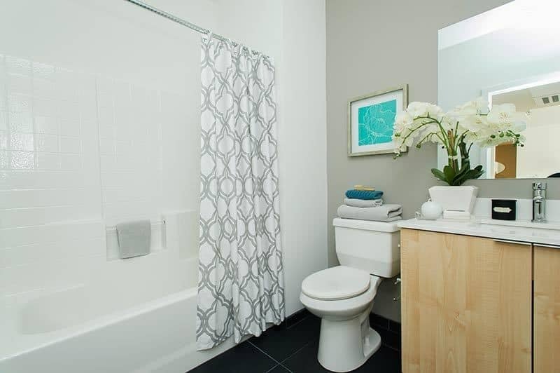 Eco Allston