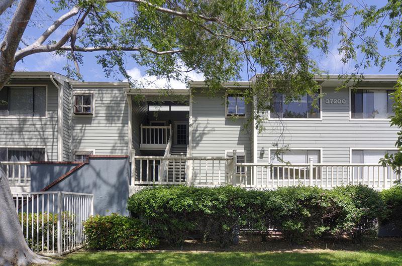 37200 Meadowbrook Cmn, #202