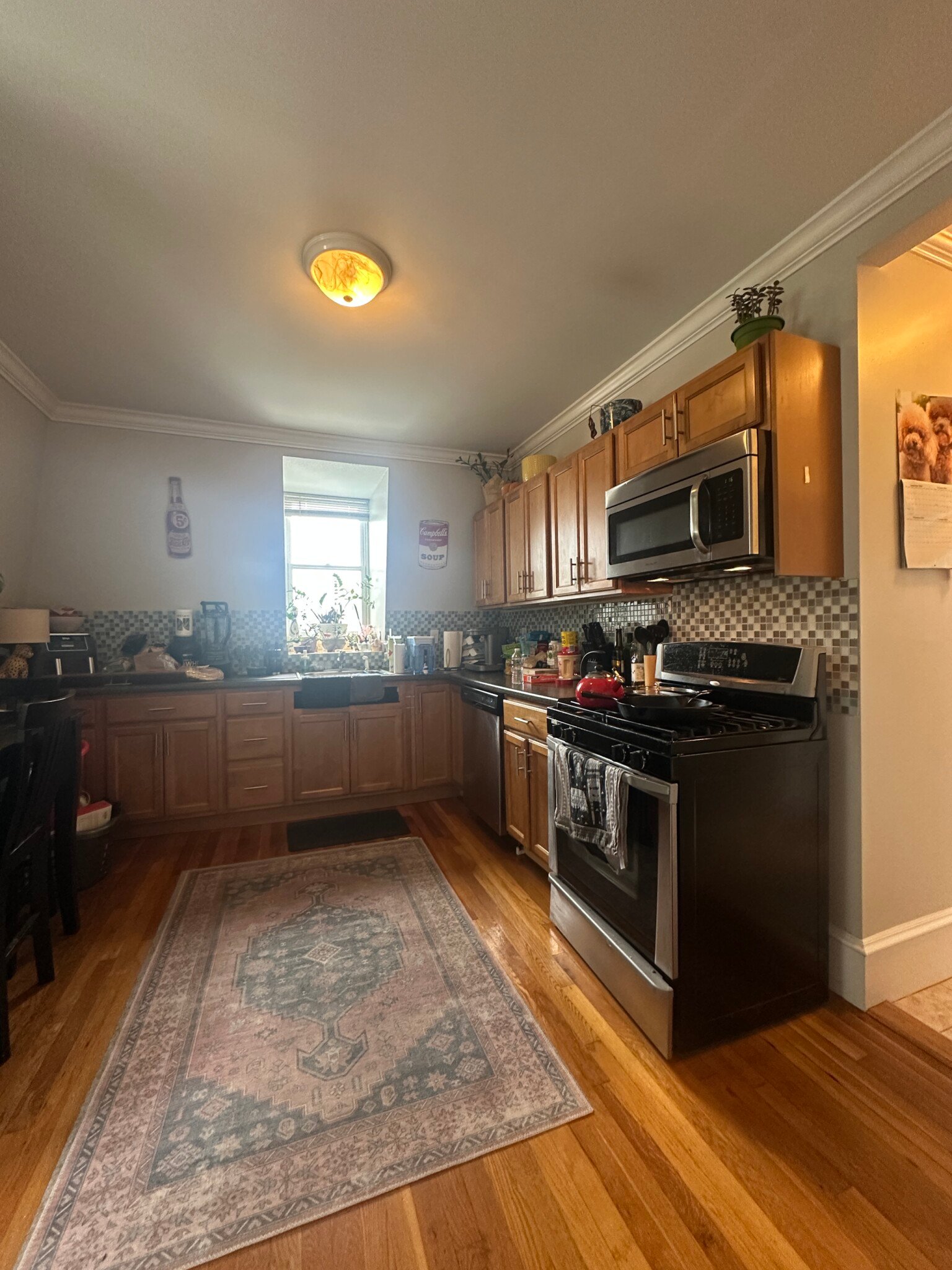 33 Bigelow St #3