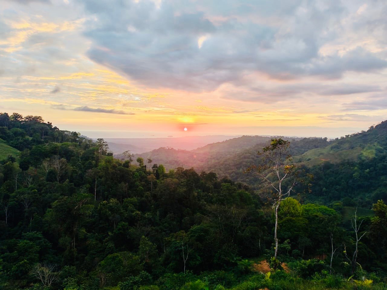 24.7-Acre Ocean View Eco Estate in San Cristóbal de Aguirre | 5 Building Sites