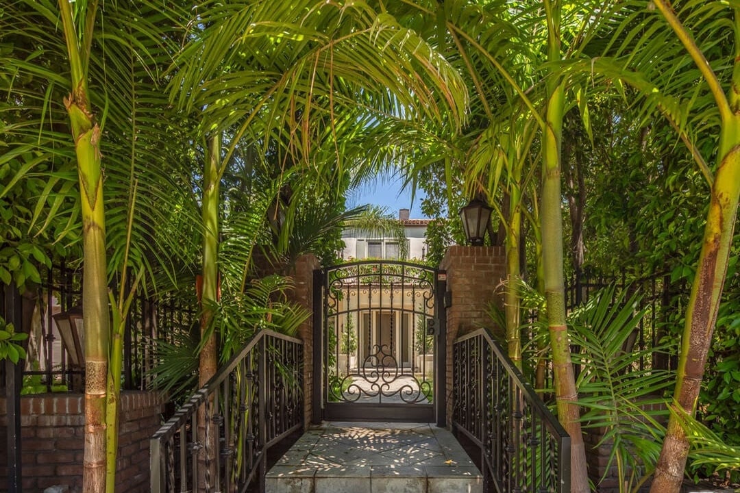 Oasis View