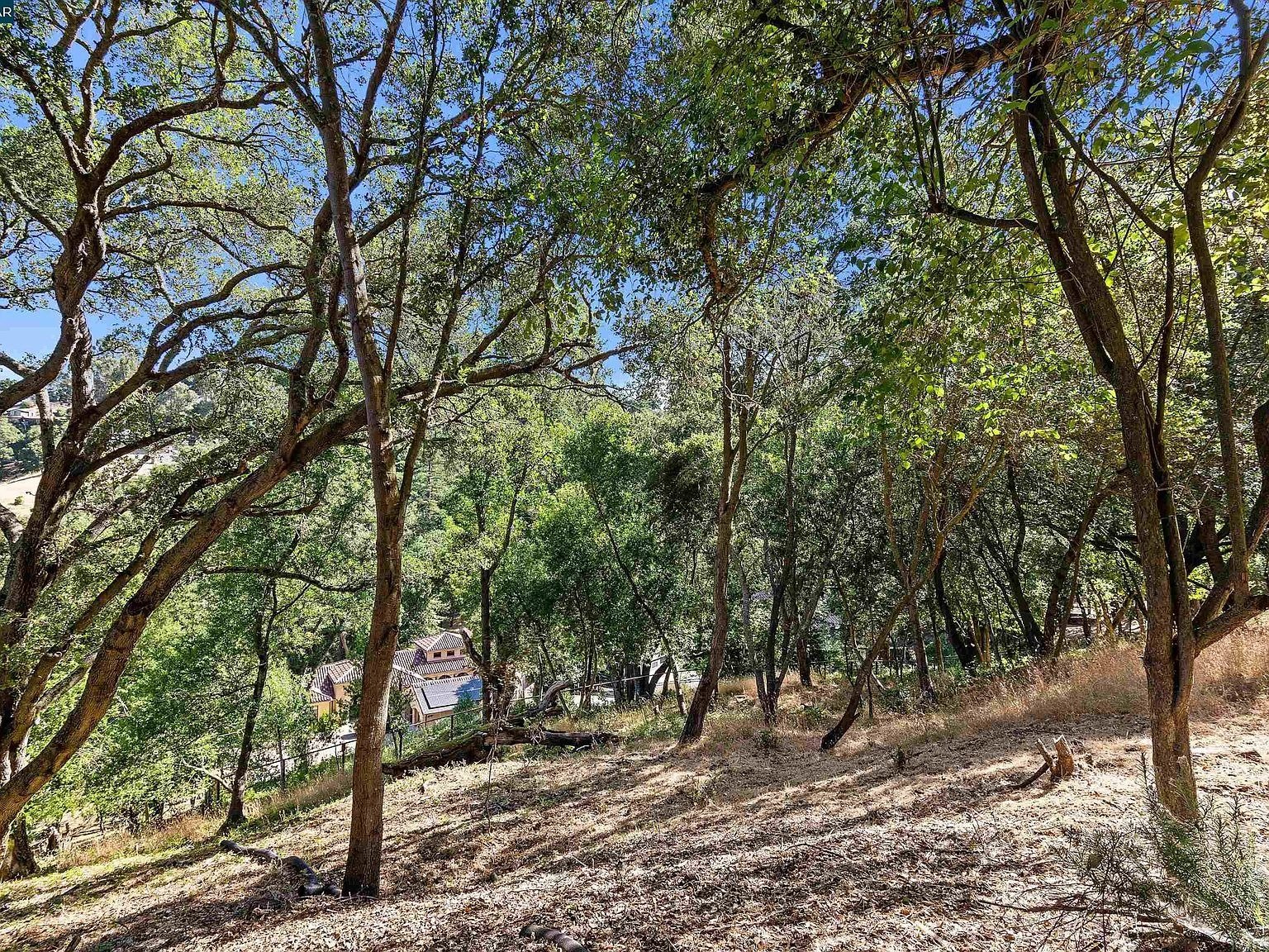 639 Miner Rd