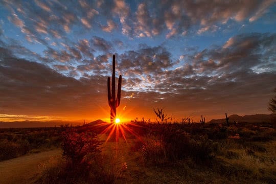 How to Enjoy July in Arizona Without Spending the Whole Month Indoors