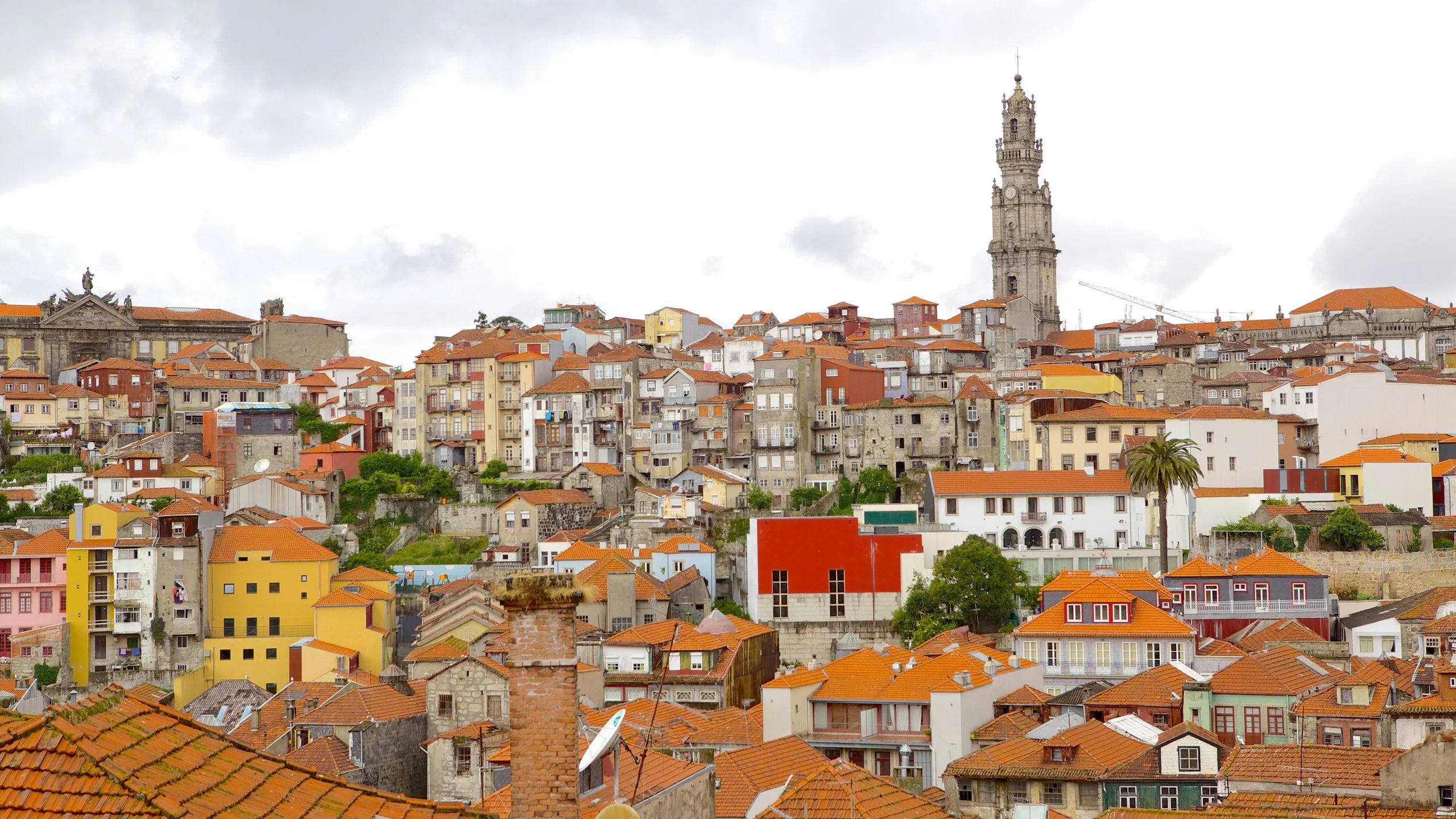 Historic rooftops and the Cl&eacute;rigos tower in central Porto