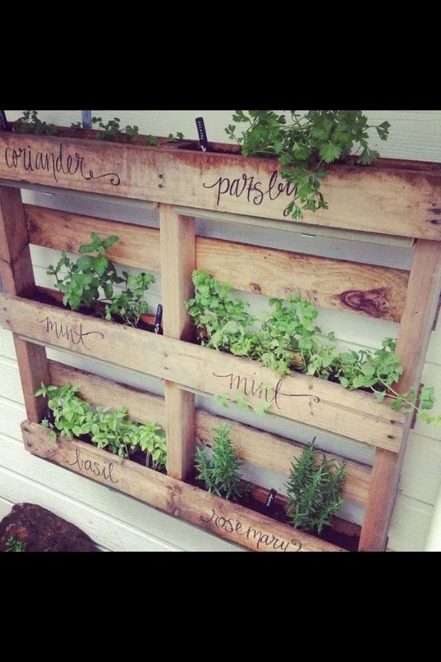 Pallet Play!